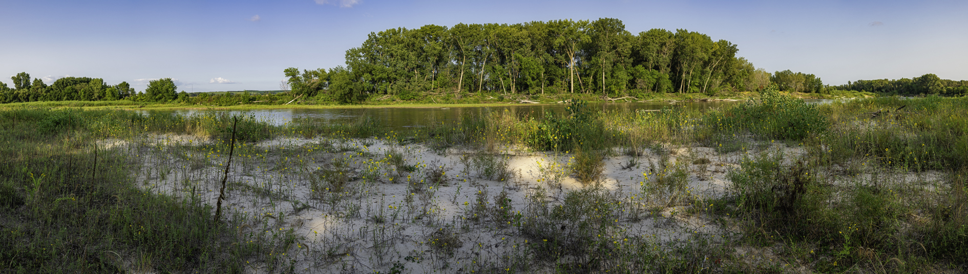 Late Summer on the Elkhorn II