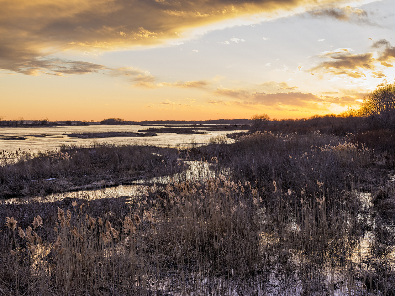 Late Winter Evening