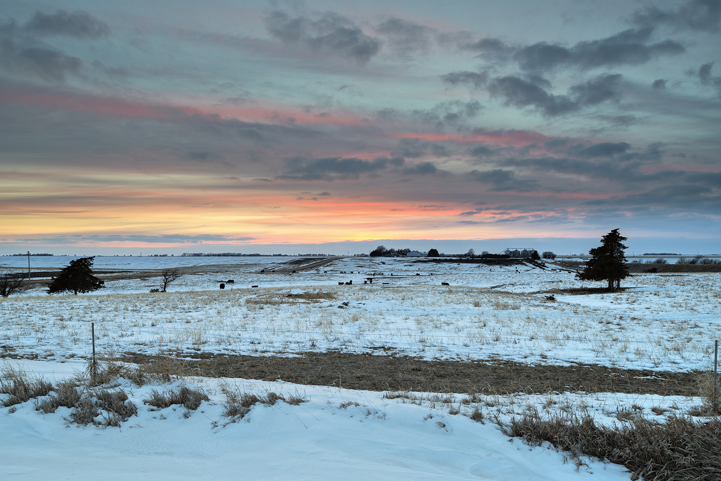 Late Winter Pasture