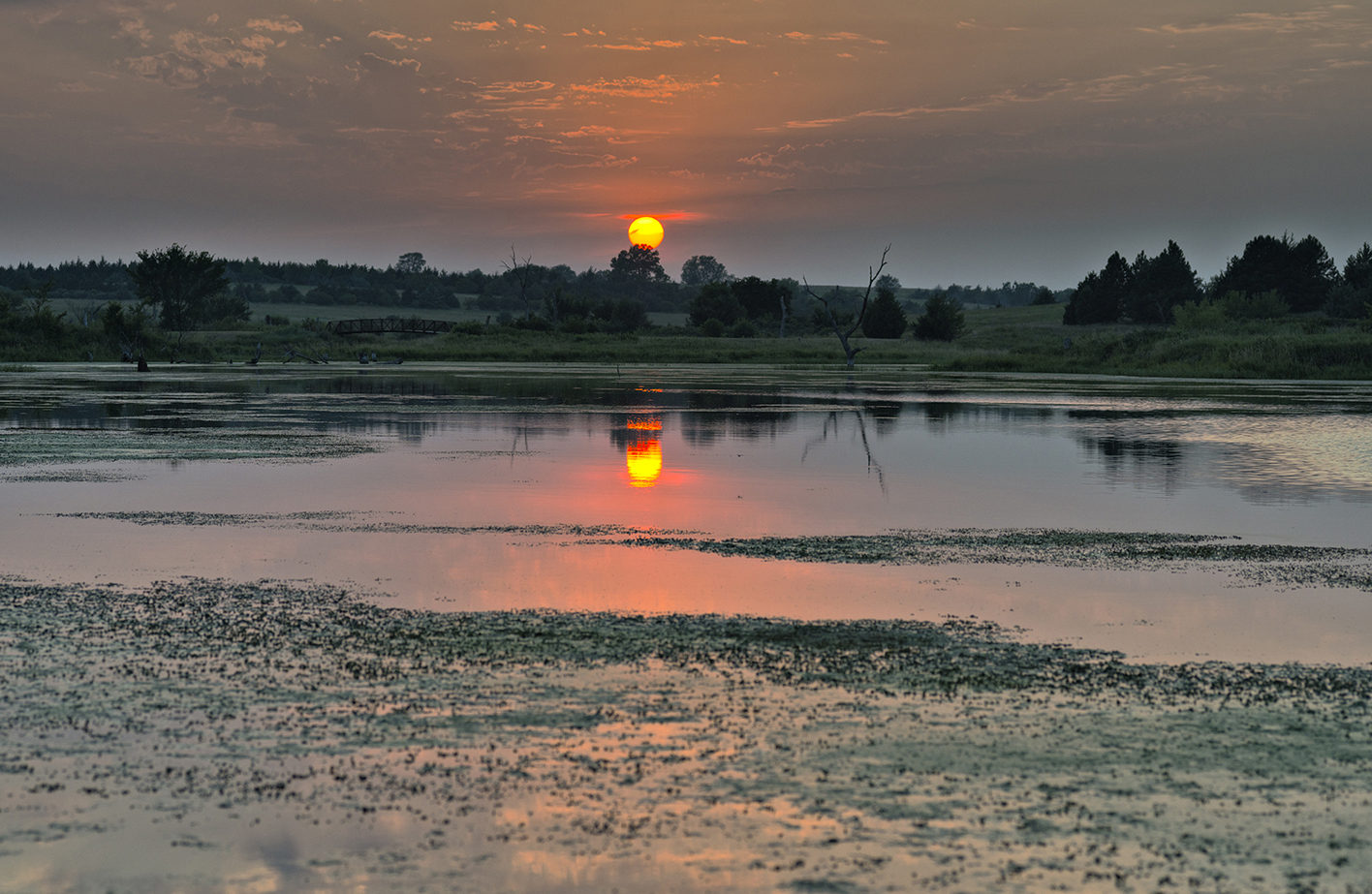 Liberty Cove Evening II