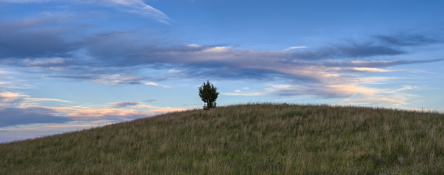 Lone Tree Hill
