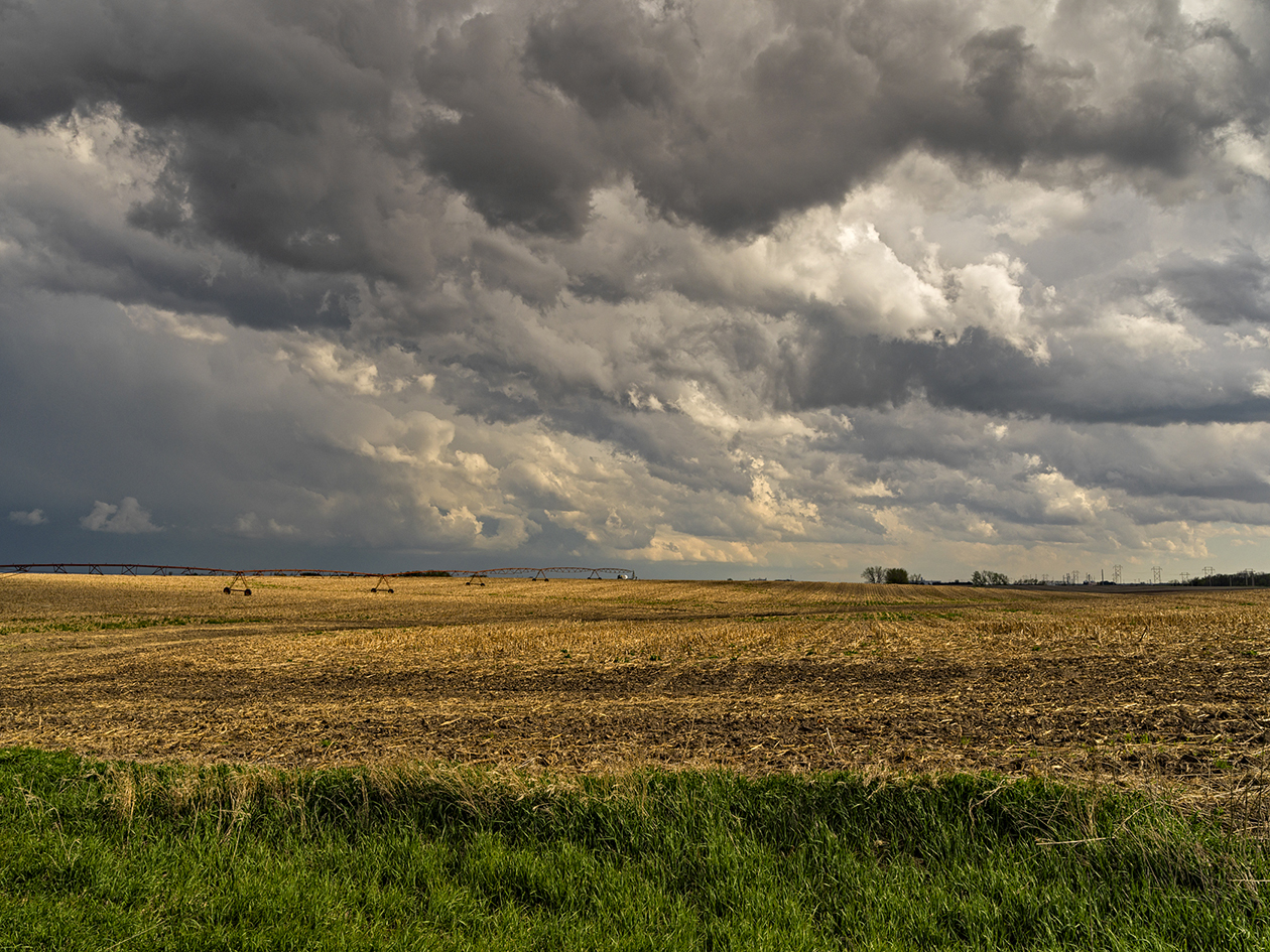 Looking for an April Shower