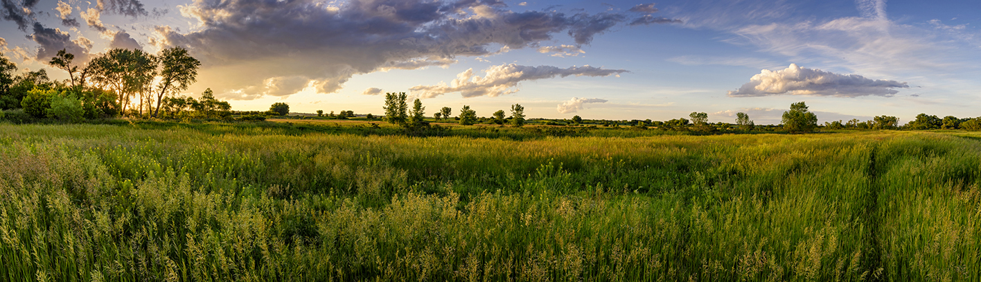 Loup River Valley Evening II