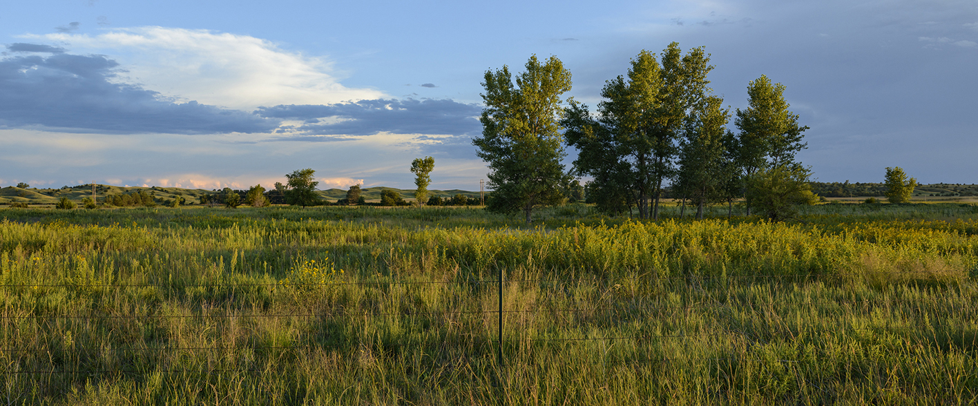 Loup Valley Evening