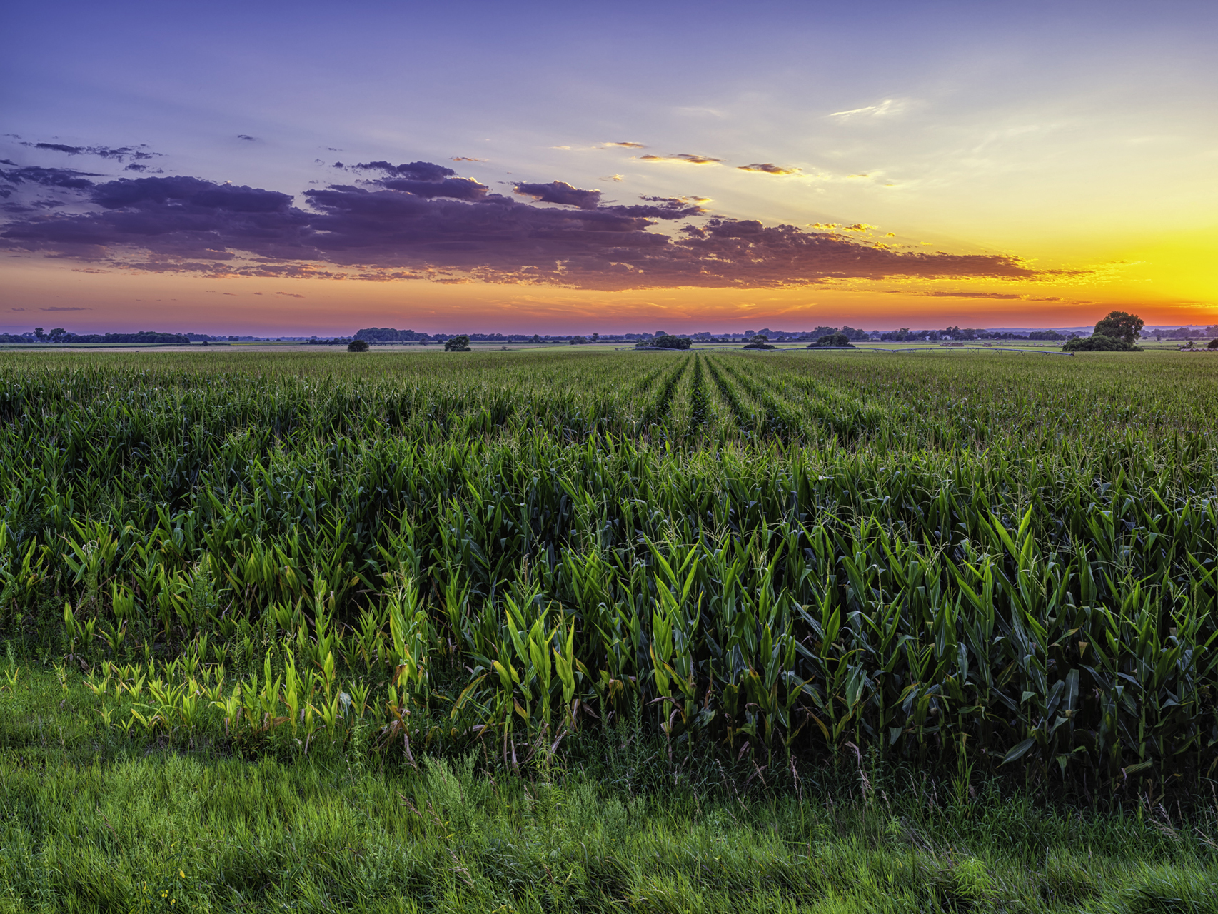 Loup Valley Evening II