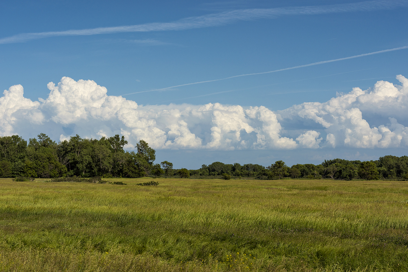 Loup Valley Pasture