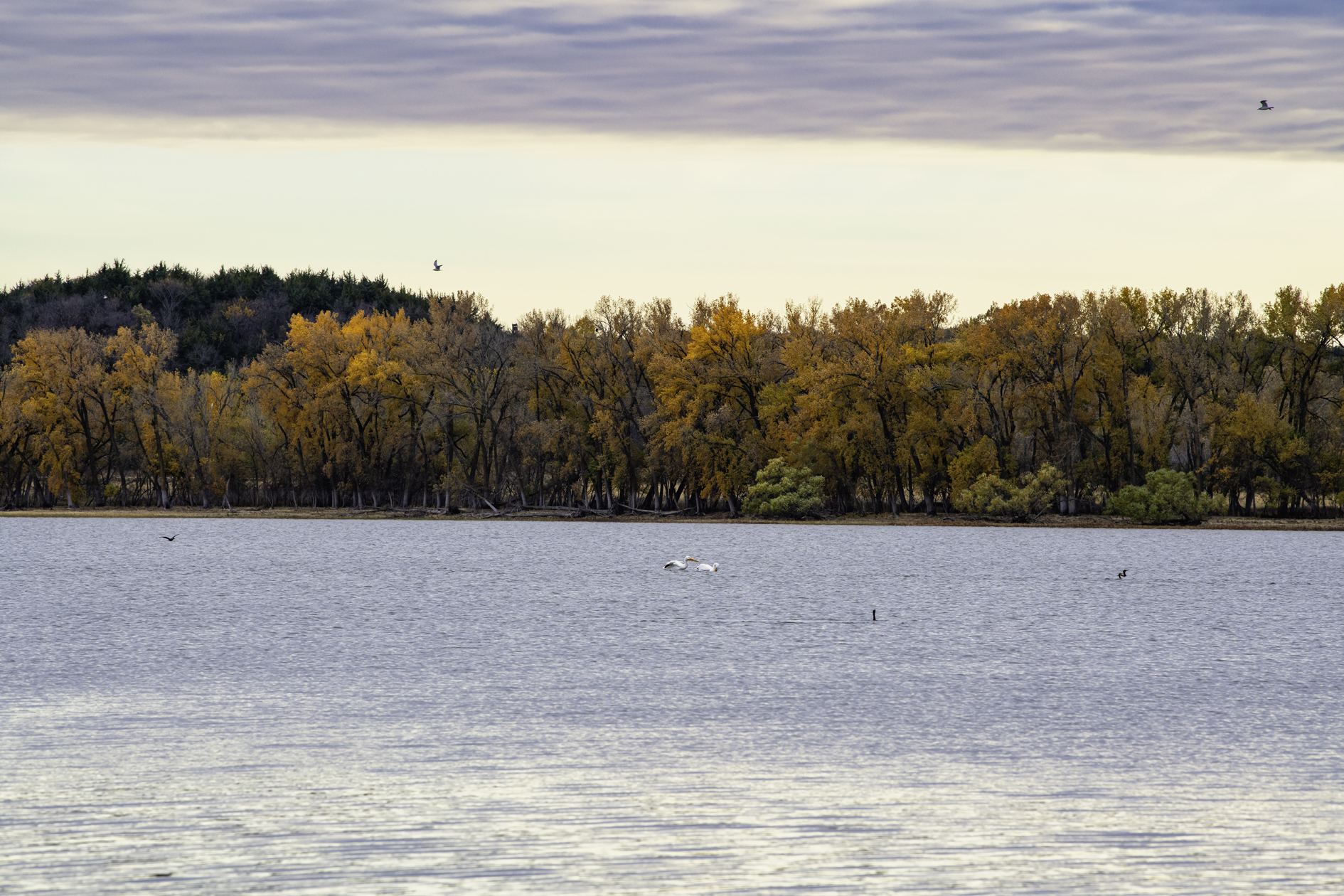 Lovewell State Park Evening II