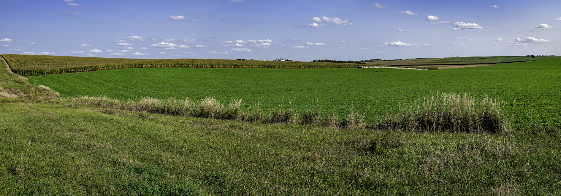 Madison County Afternoon II