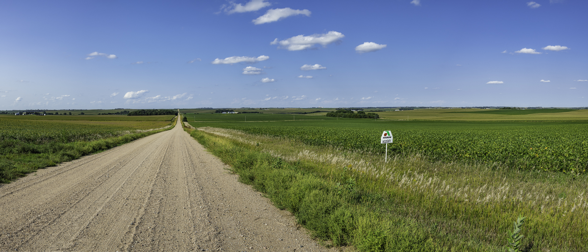 Madison County Afternoon III