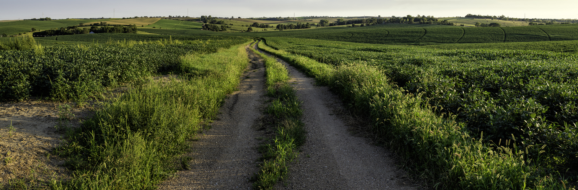 Madison County Afternoon IV