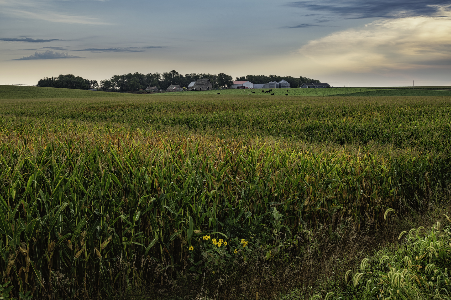 Madison County Morning II