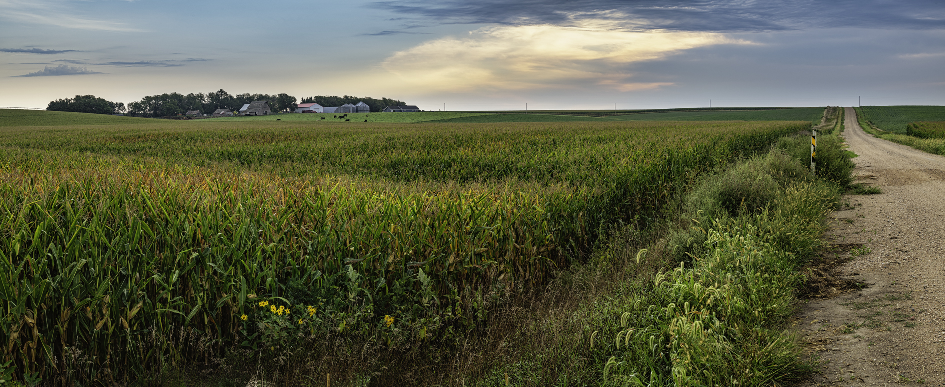 Madison County Morning III