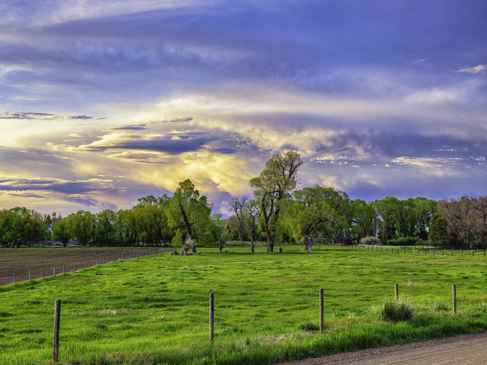 Madison River Valley Evening