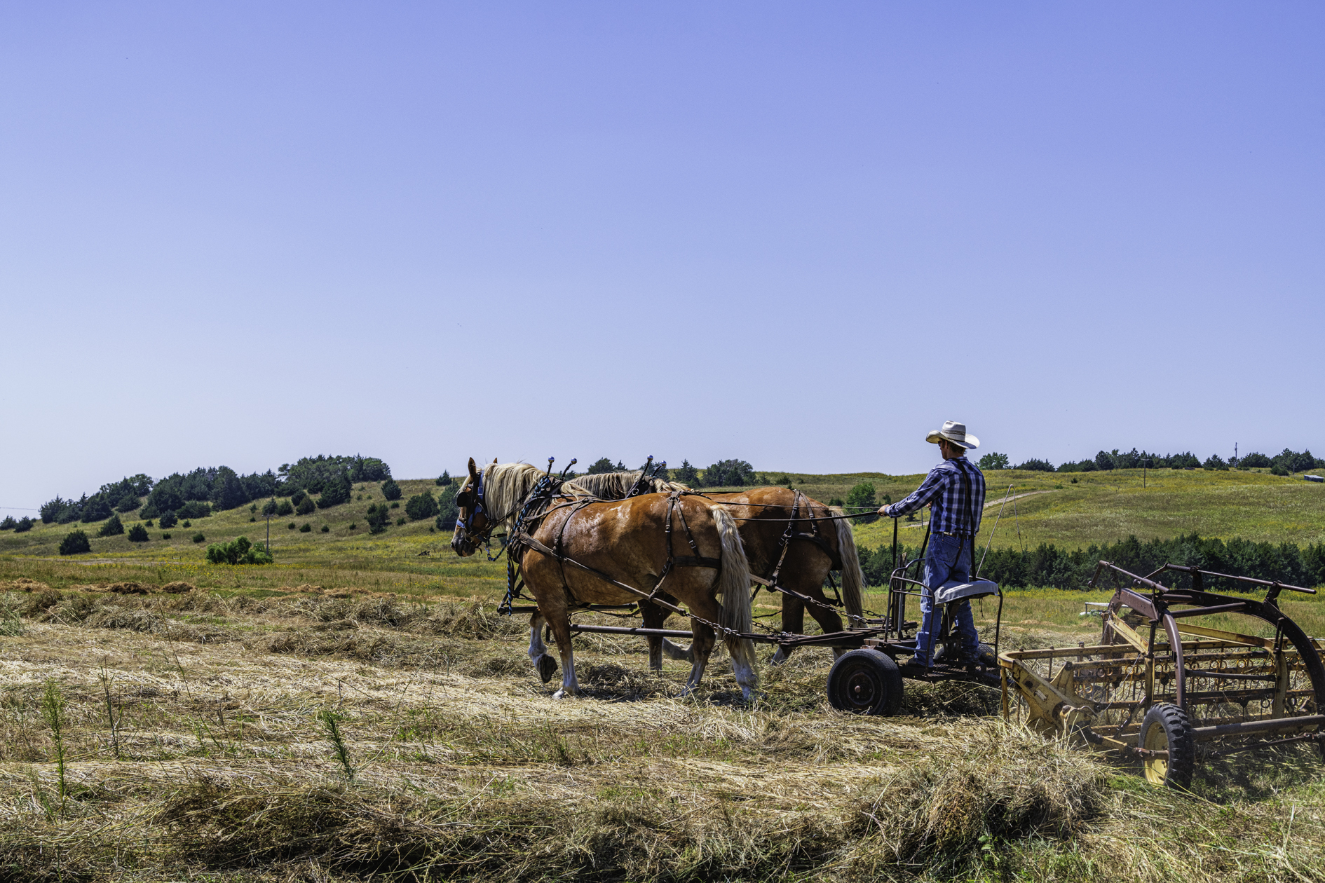 Making Windrows