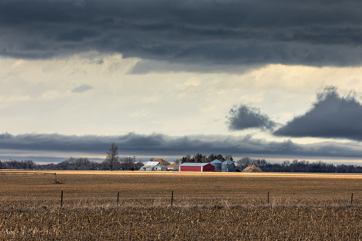 Marching Past Winter