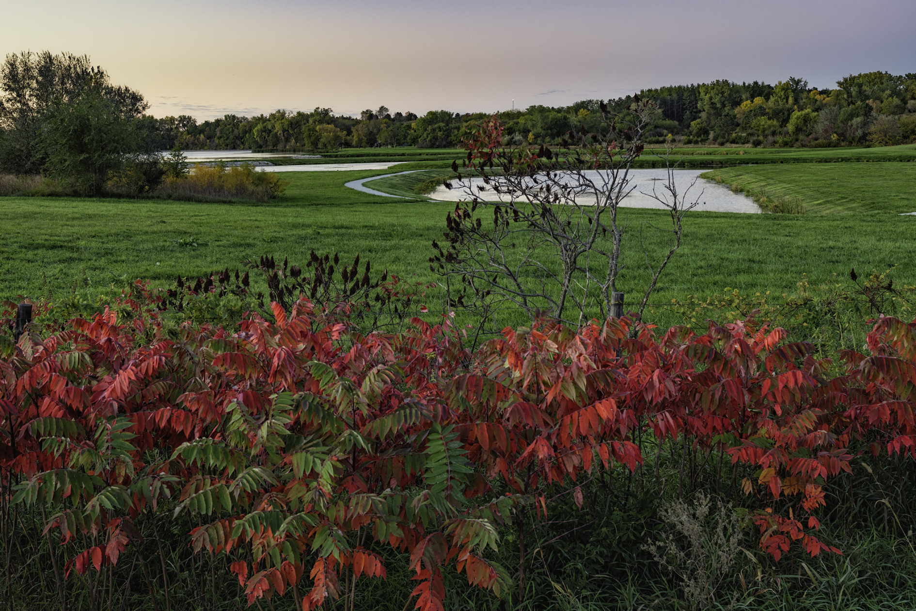 Maskenthine Lake Morning III