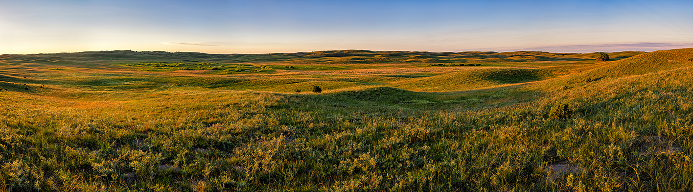 Meadow Evening