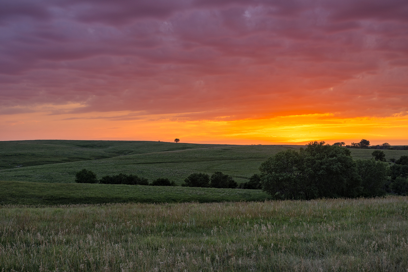 Midsummer Evening