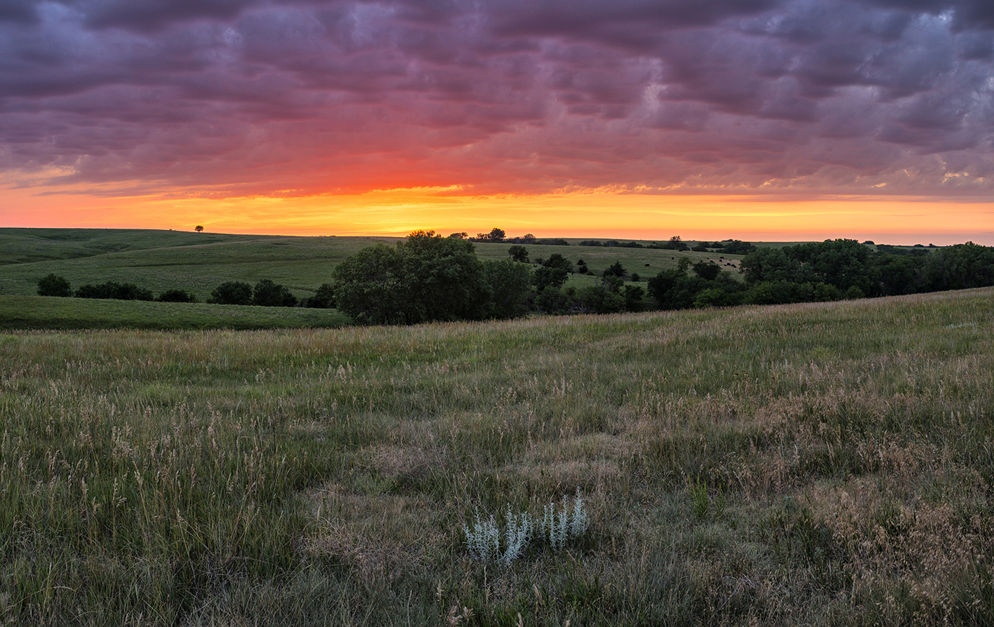 Midsummer Evening III