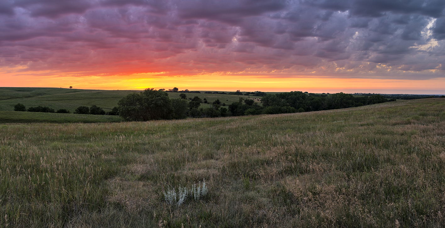 Midsummer Evening IV