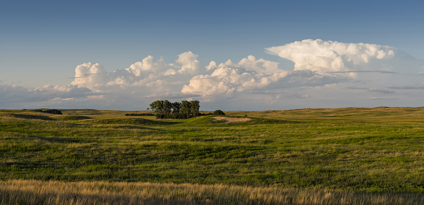 Milldale Evening IV