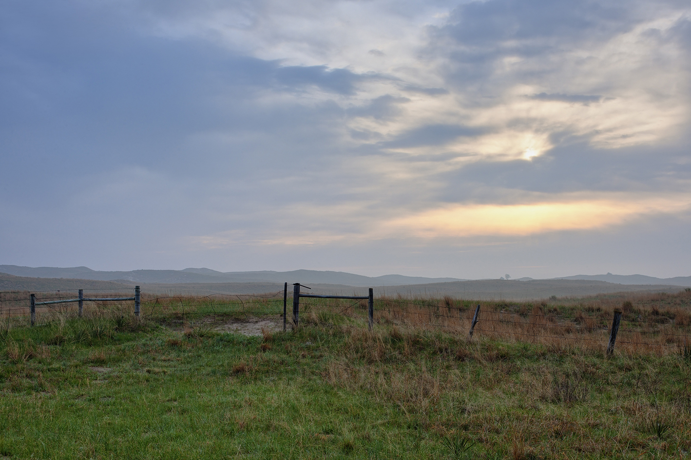 Misty Morning Pasture