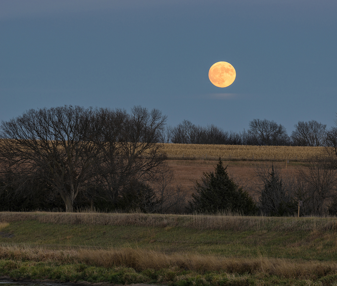 Moonrise at Liberty Cove V