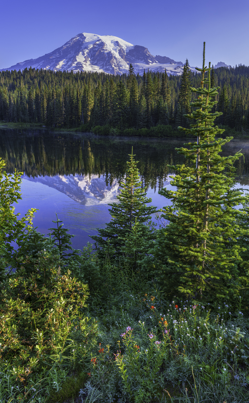 Morning at Reflection Lake III