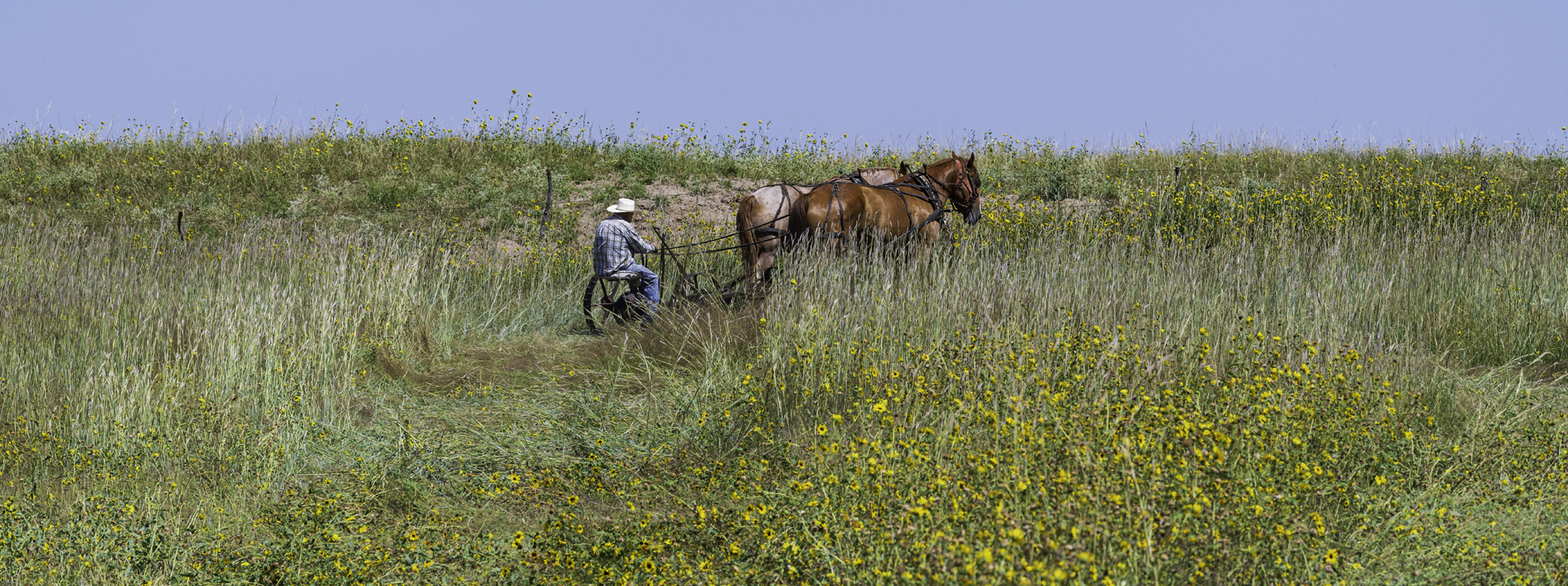 Mowing the Pasture