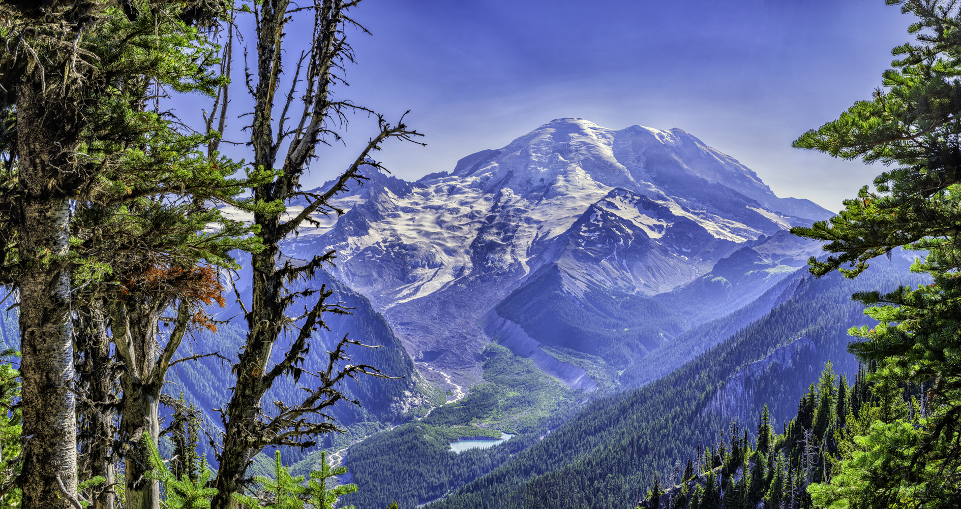 Mt Rainier View