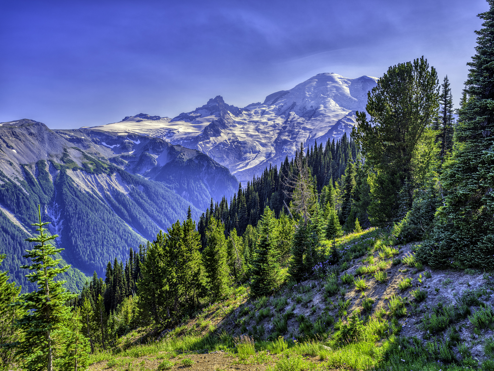 Mt Rainier View II