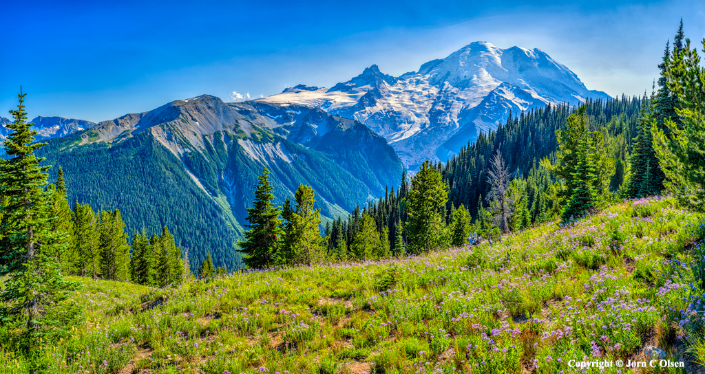 Mt Rainier View III