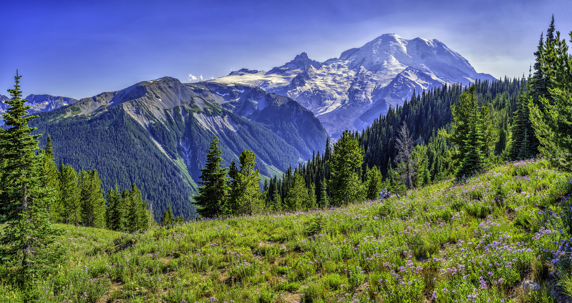 Mt Rainier View IV