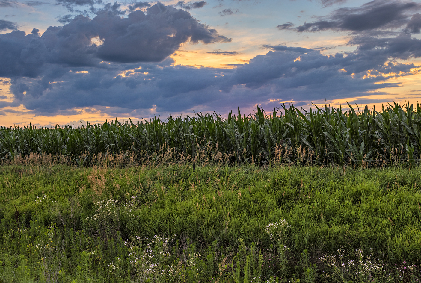 Nemaha Valley Morning