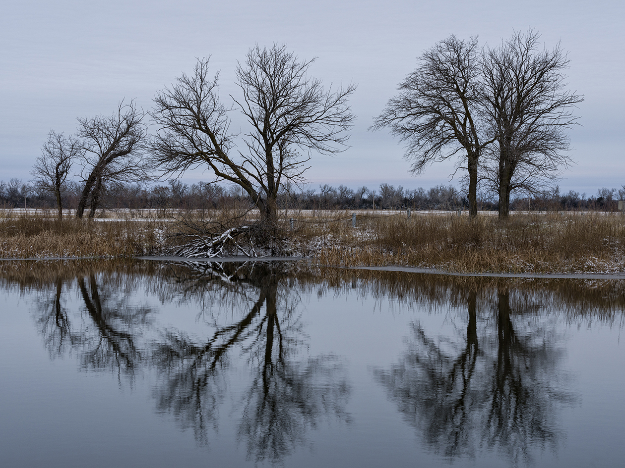 November Reflections II