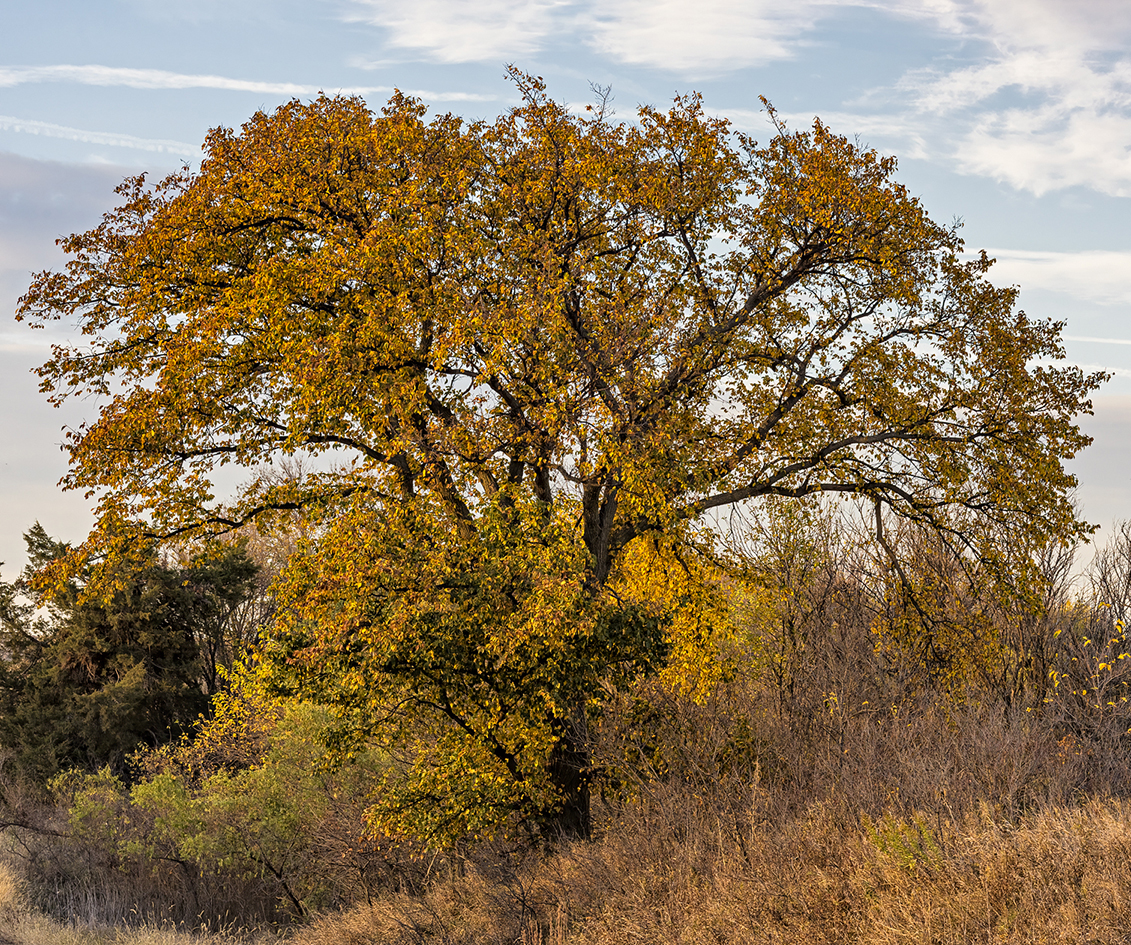 October in the Heartland