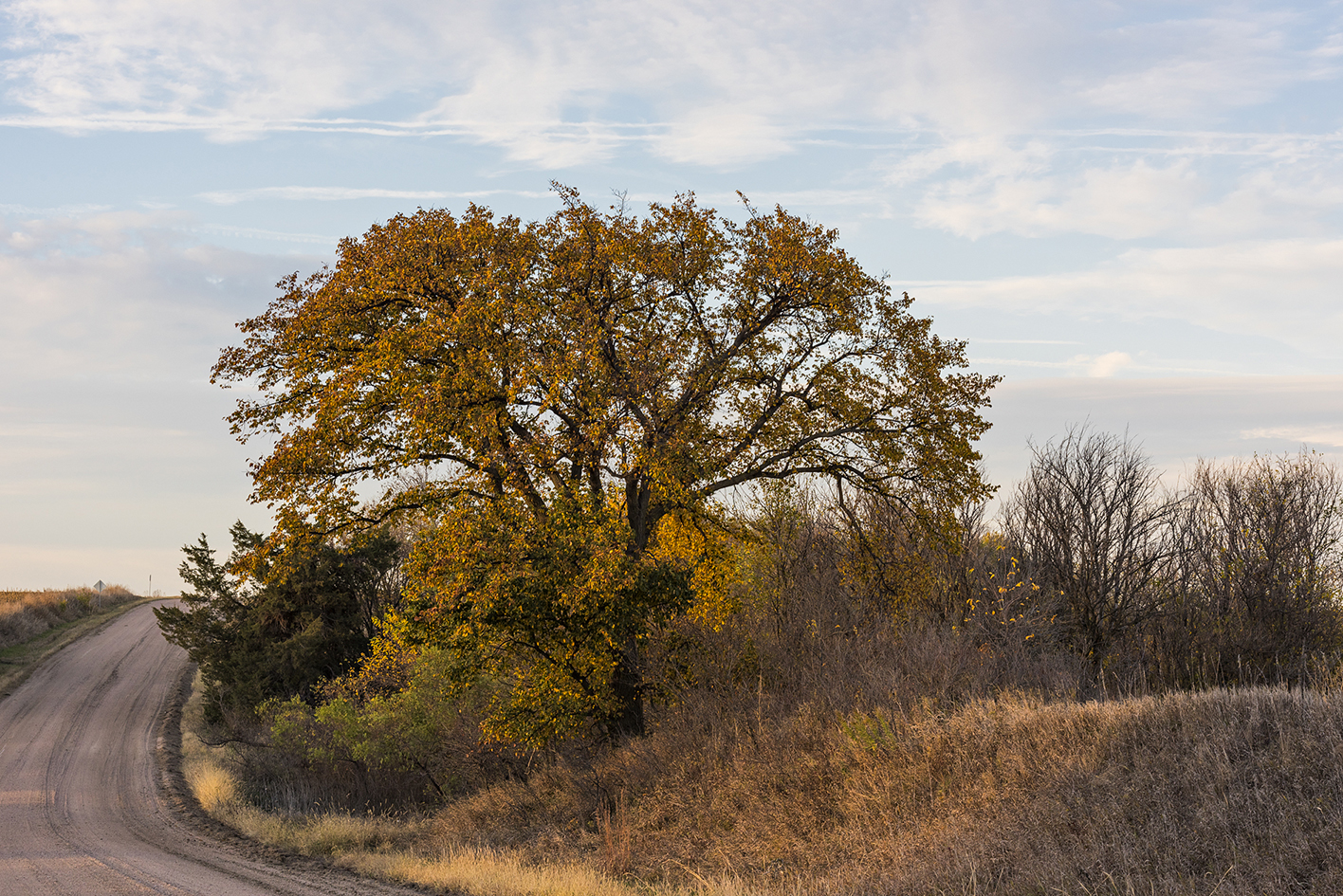 October in the Heartland II