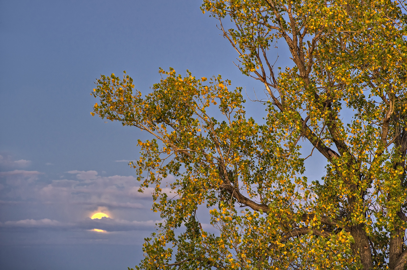 October Moon