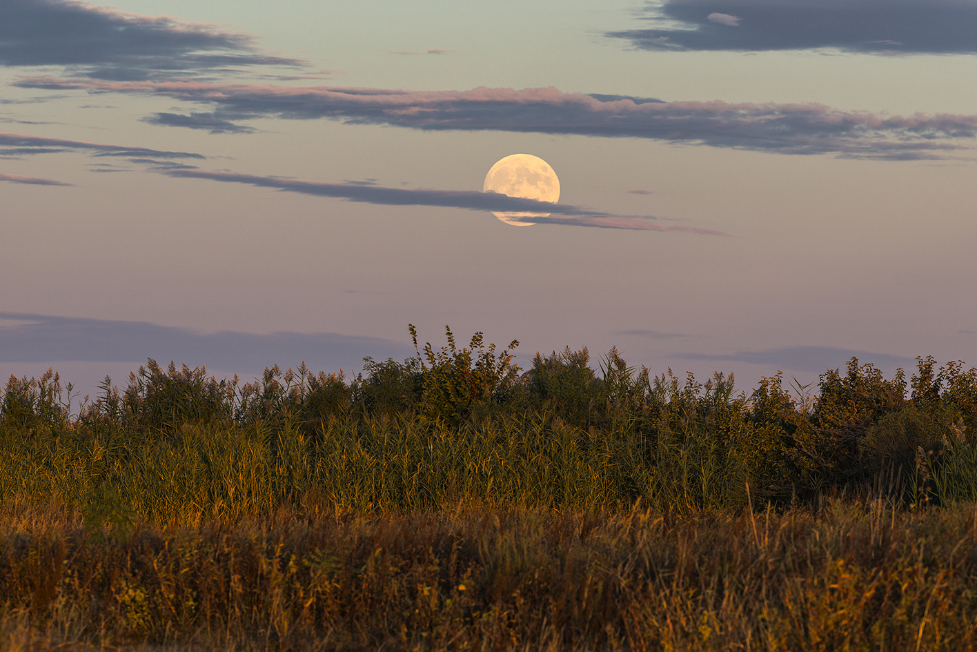 October Moon Rising