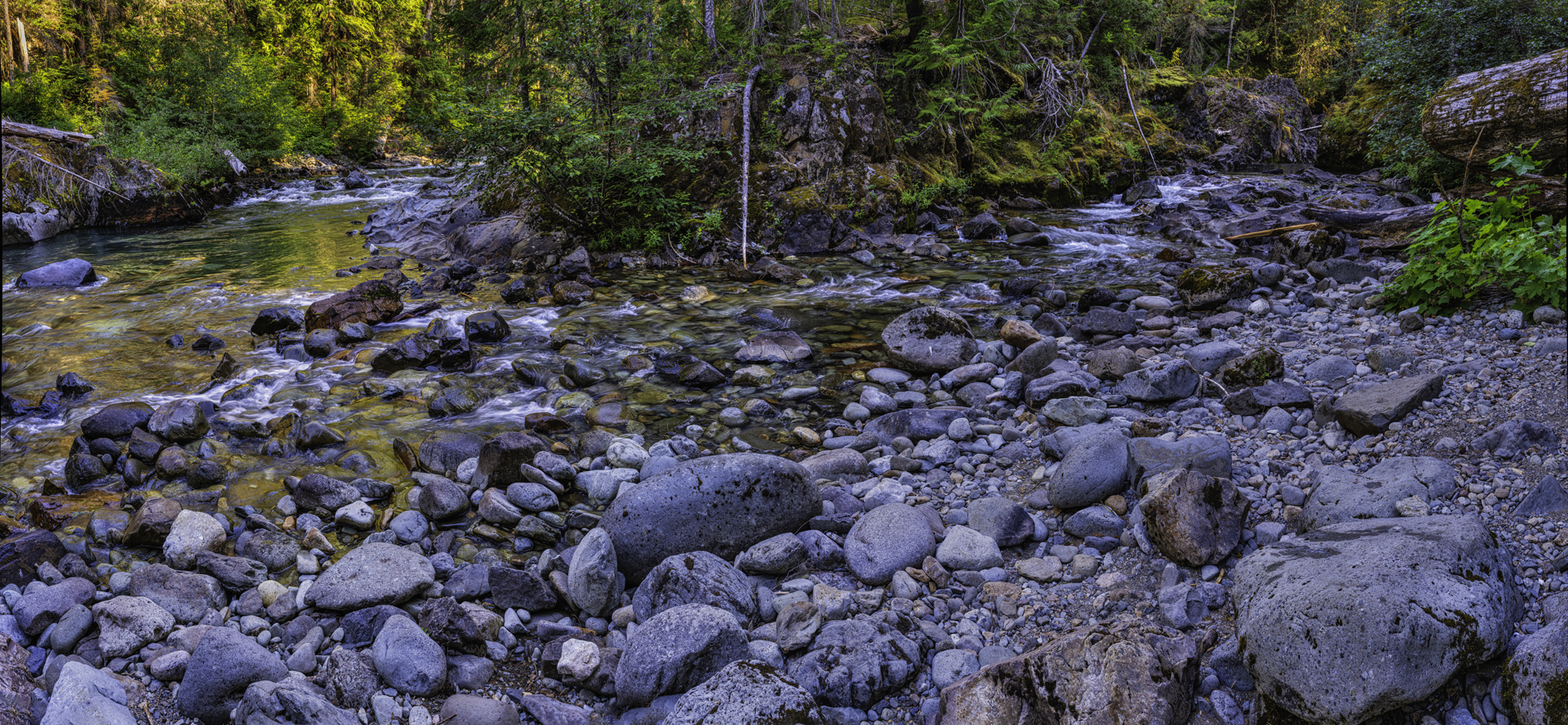 Ohanapecosh River Morning