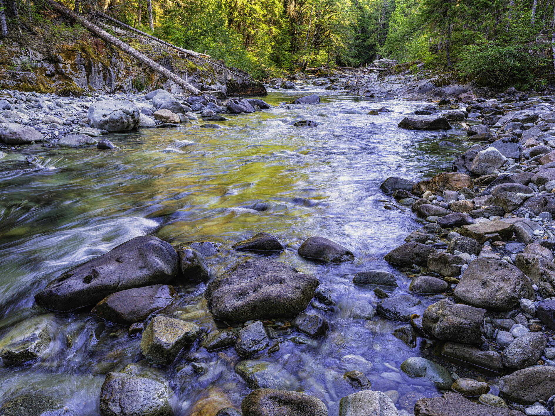 Ohanapecosh River Morning II