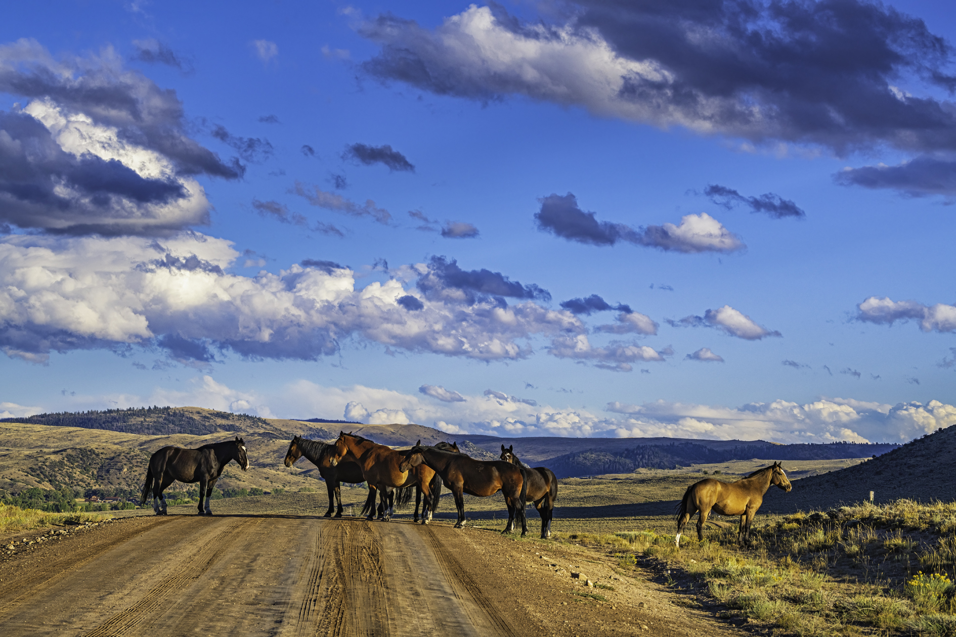 On Bennet Peak Road II