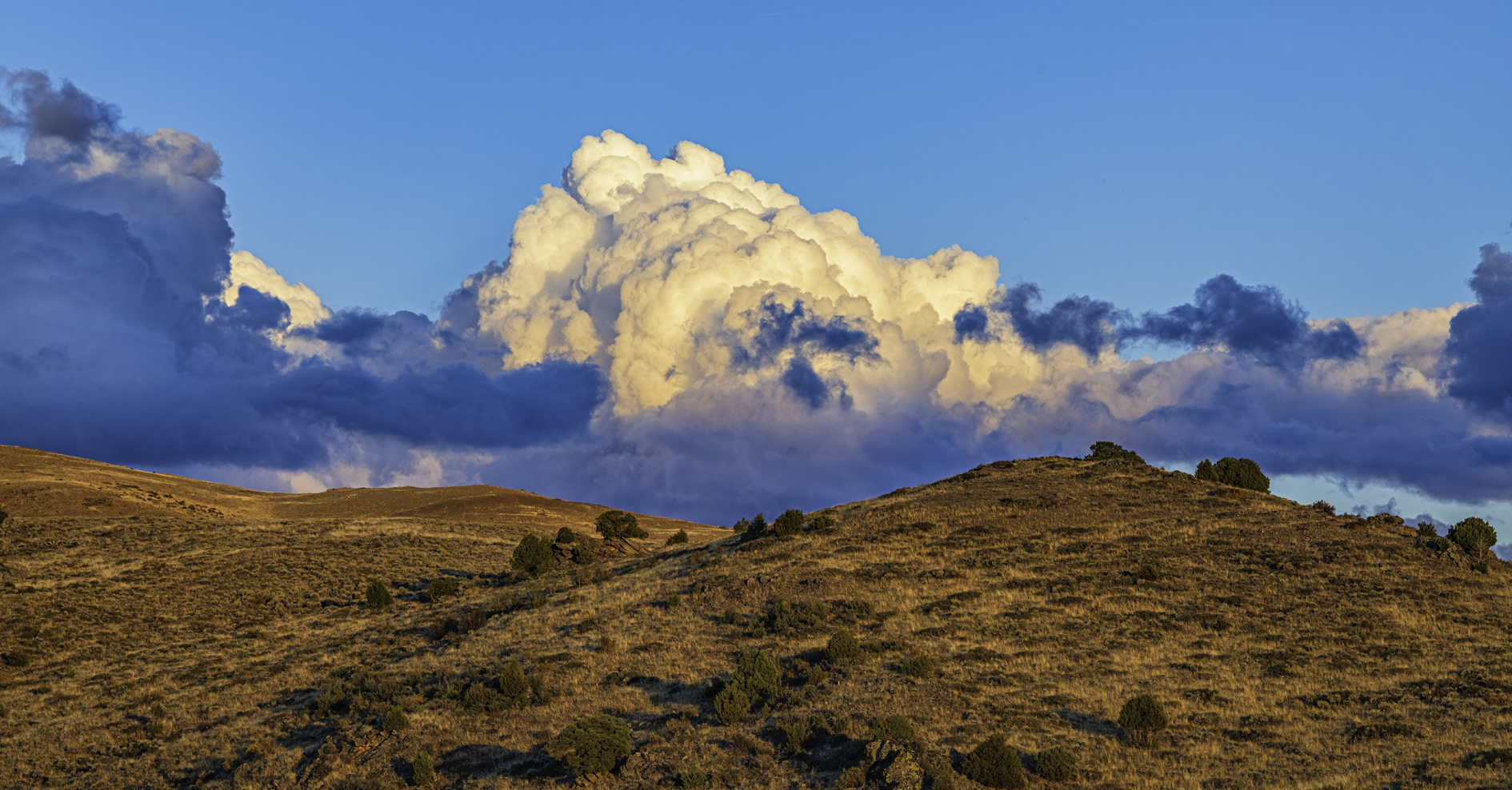 On Bennet Peak Road III