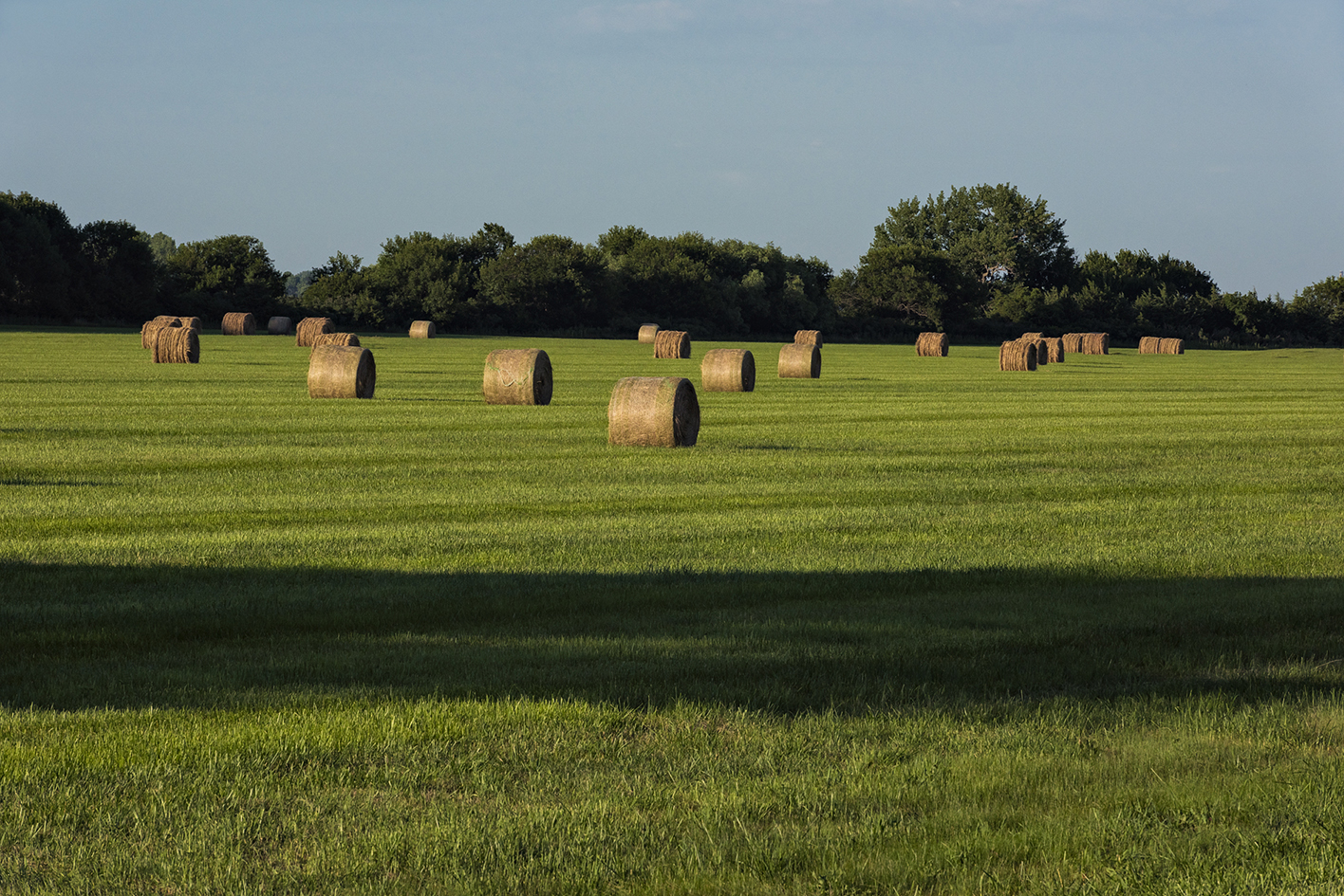 On Shoemaker Island III