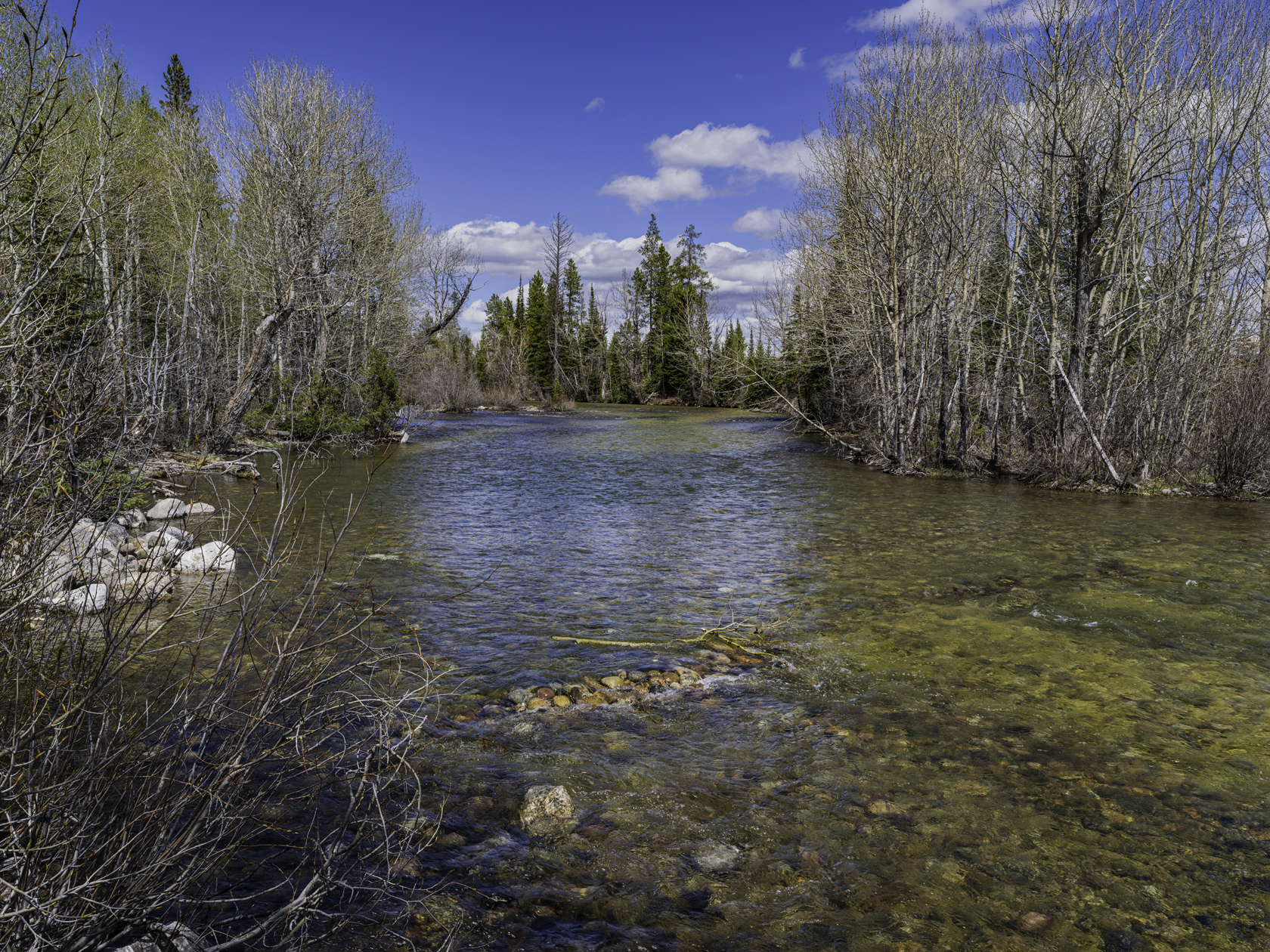 Pacific Creek Afternoon
