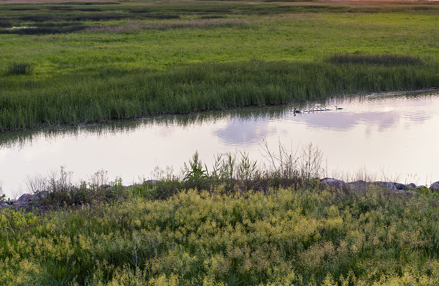 Paddleboat Evening II