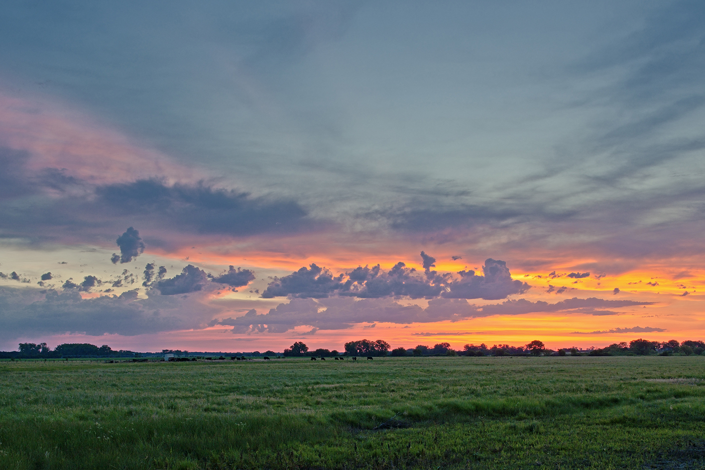 Painted Horizon