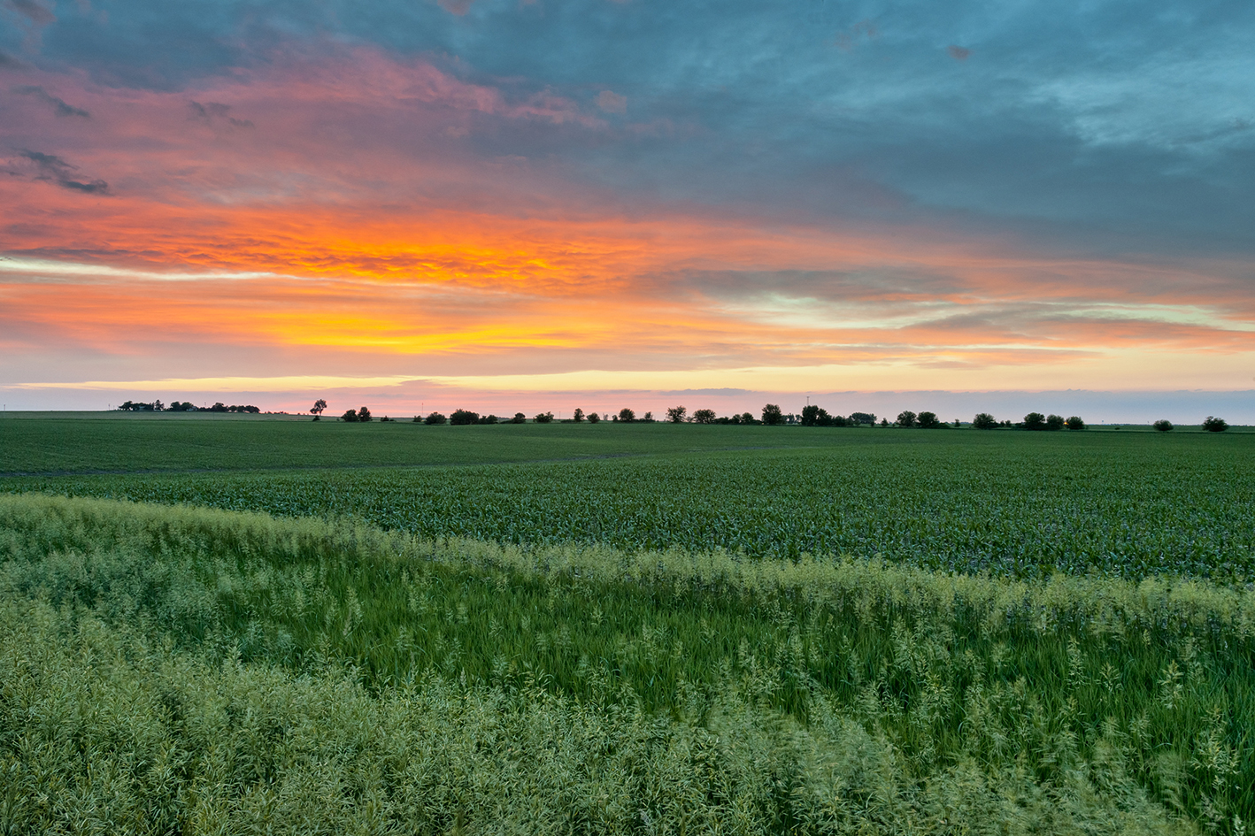 Painting the Prairie II