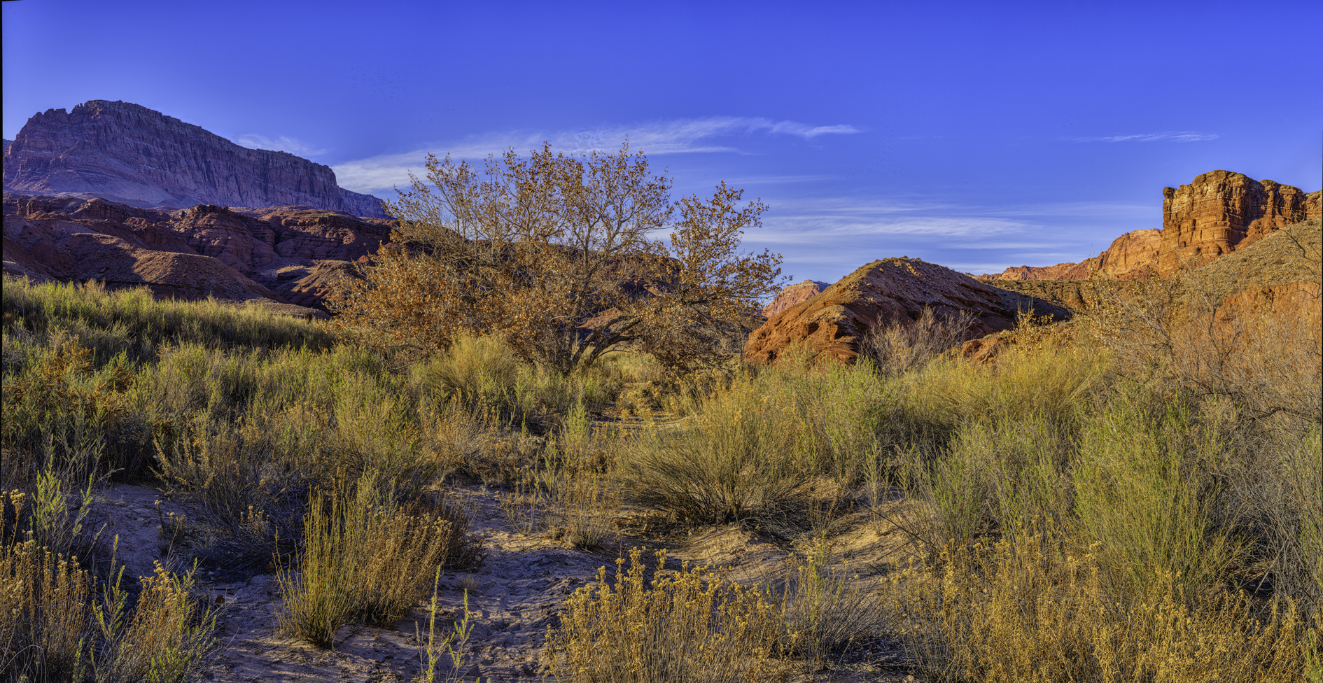 Paria Canyon Evening IV
