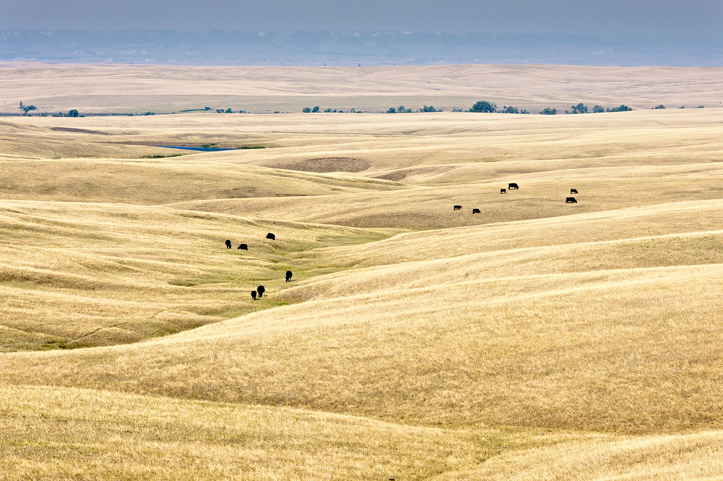 Pastoral Interlude